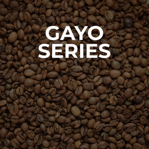 Gayo Coffee