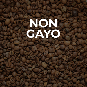 Non Gayo