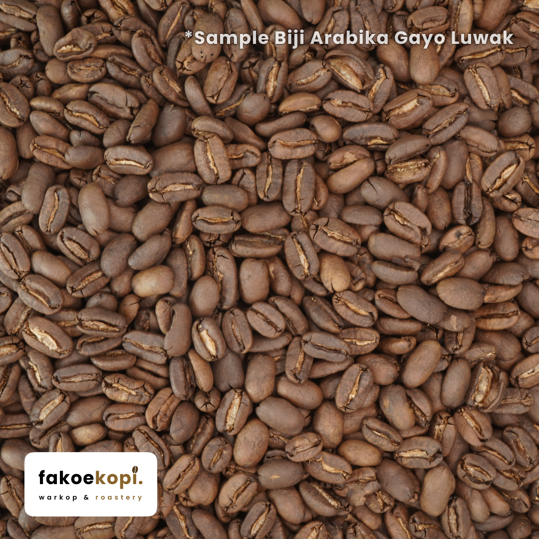 kopi arabika gayo luwak liar process single origin kopi arabika gayo luwak liar process single origin