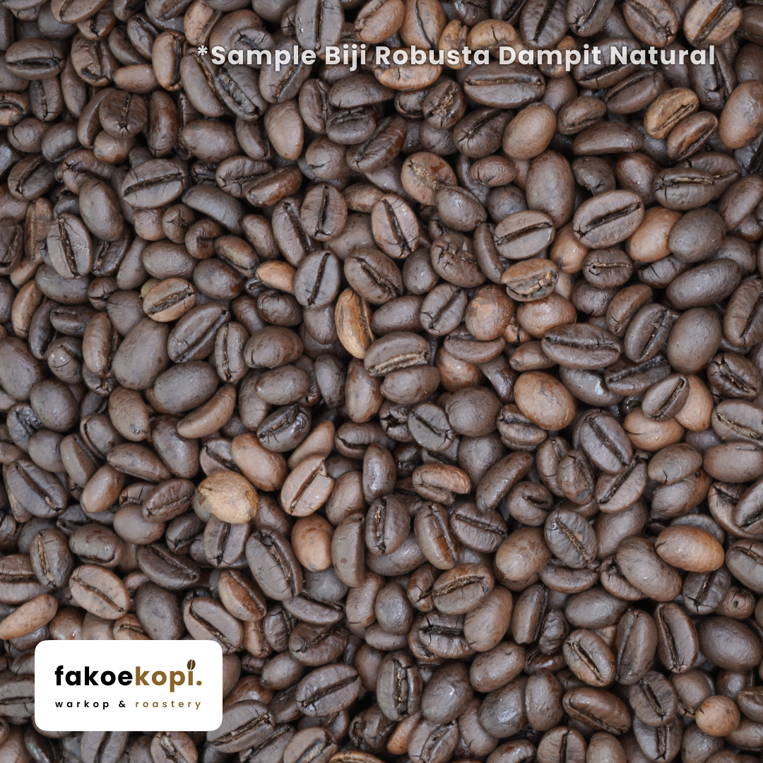 kopi robusta dampit natural single origin kopi robusta dampit natural single origin