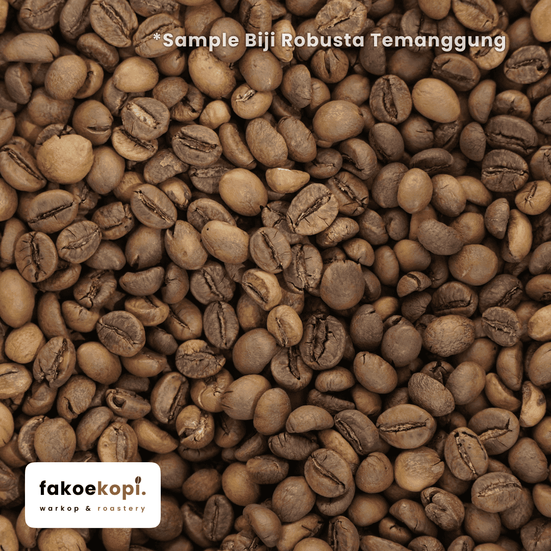 kopi robusta temanggung natural single origin kopi robusta temanggung natural single origin