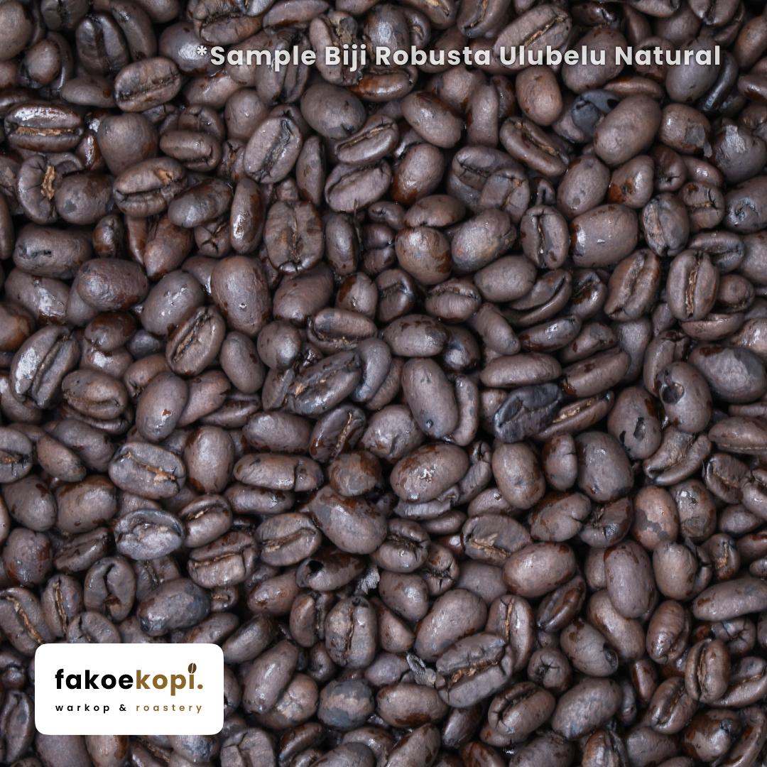 kopi robusta ulubelu natural single origin kopi robusta ulubelu natural single origin